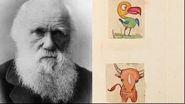 Charles Darwin (à esqu.) e os desenhos (à dir.) - Getty Images e Darwin Manuscripts Project
