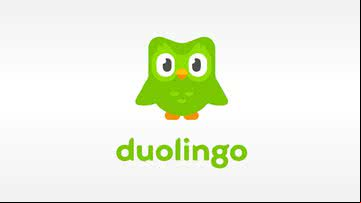 Logo Duolingo - Reprodução/Internet