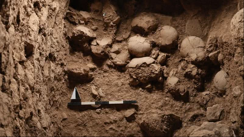 Descoberta na Turquia revela civilização desconhecida mais antiga do mundo - Divulgação/Sefertepe Excavation Archive