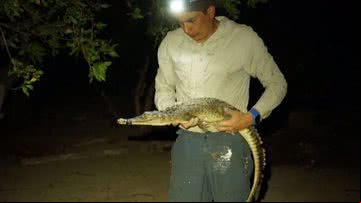 Pesquisador segurando espécie de crocodilo - Divulgação/Universidade McGill