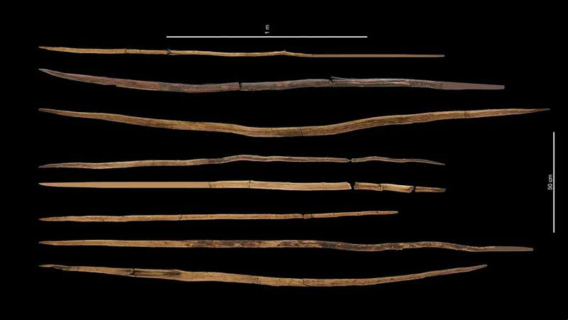Lanças de madeira encontradas na Alemanha - Divulgação