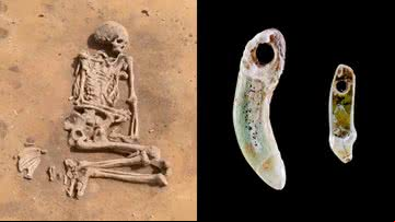 Sepultura de mulher do neolítico e joias de dentes de cachorro - Divulgação/Escritório Estadual de Preservação de Monumentos e Arqueologia Saxônia-Anhalt
