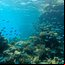 Grande Barreira de Coral, na Austrália