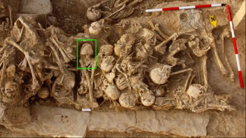 Crânio esmagado foi encontrado em ossada - Projeto Pré-histórico Zohreh