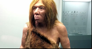 Representação de um homem de Neandertal - Hispalois/Wikimedia Commons