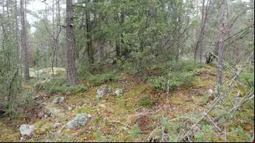 Amontoado de pedras antigo identificado pelos arqueólogos - Divulgação/  Juha Ruohonen