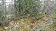 Amontoado de pedras antigo identificado pelos arqueólogos - Divulgação/  Juha Ruohonen