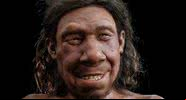 Reconstrução facial do neandertal Krijn - Divulgação/Servaas Neijens