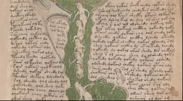 Detalhe de uma das páginas do Manuscrito de Voynich - Wikimedia Commons