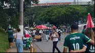 Torcida do Palmeiras presente no Estádio do Morumbi - Fabio Previdelli/Aventuras na História