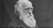 Charles Darwin - Wikimedia Commons