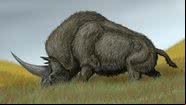 Representação do rinoceronte Elasmotherium sibericum - DiBgd via Wikimedia Commons