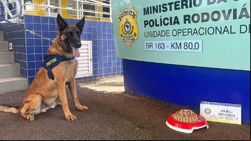 Aposentadoria de Bili - Divulgação/PRF