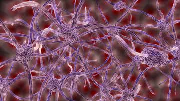 Imagem meramente ilustrativa de neurônios - Foto de  MasterTux no Pixabay