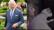 O rei Charles III (esq.) e ativista segurando cordeiro (dir.) - Getty Images e Reprodução / Vídeo