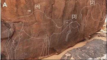 Entalhes no formato de camelos foram possivelmente criados há milhares de anos - Divulgação/Maria Guagnin, et al