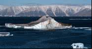 Imagem meramente ilustrativa de iceberg no Ártico - Wikimedia Commons
