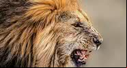 Imagem meramente ilustrativa - Pixabay